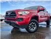 2017 Toyota Tacoma SR+ (Stk: J26012) in Brandon - Image 2 of 20