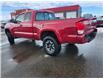 2017 Toyota Tacoma SR+ (Stk: J26012) in Brandon - Image 8 of 20