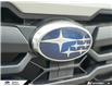 2026 Subaru Crosstrek Convenience (Stk: 166097) in Tecumseh - Image 9 of 26