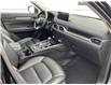 2025 Mazda CX-5  (Stk: 260240) in Ottawa - Image 9 of 21