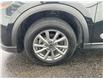 2025 Mazda CX-5  (Stk: 260240) in Ottawa - Image 21 of 21