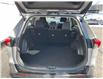 2024 Toyota RAV4 LE (Stk: 260255) in Ottawa - Image 22 of 23