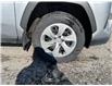 2024 Toyota RAV4 LE (Stk: 260255) in Ottawa - Image 23 of 23