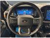 2026 Ford F-150 Tremor (Stk: T0008) in ROSETOWN - Image 14 of 17