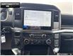 2026 Ford F-150 STX (Stk: 6F131602) in Brantford - Image 17 of 23