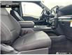 2026 Ford F-150 STX (Stk: 6F131602) in Brantford - Image 20 of 23