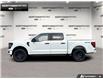 2026 Ford F-150 STX (Stk: 6F134802) in Brantford - Image 3 of 23