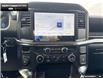 2026 Ford F-150 STX (Stk: 6F134802) in Brantford - Image 17 of 23