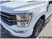 2021 Ford F-150 Tremor (Stk: X83198) in Richmond - Image 8 of 25