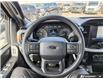 2021 Ford F-150 Tremor (Stk: X83198) in Richmond - Image 14 of 25