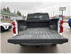 2019 Chevrolet Silverado 1500 Silverado Custom (Stk: TK296869) in Caledonia - Image 15 of 40