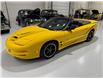 2002 Pontiac Firebird Trans Am (Stk: 122872) in Watford - Image 4 of 39