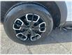 2023 Hyundai Santa Cruz Trend (Stk: 260411A) in Ottawa - Image 24 of 27