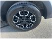 2023 Hyundai Santa Cruz Trend (Stk: 260411A) in Ottawa - Image 26 of 27