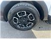 2023 Hyundai Santa Cruz Trend (Stk: 260411A) in Ottawa - Image 27 of 27