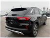 2024 Ford Escape Platinum (Stk: W9300) in Uxbridge - Image 7 of 23