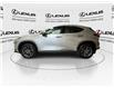 2025 Lexus NX 350  (Stk: 14U7393) in Markham - Image 6 of 28