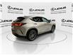 2025 Lexus NX 350  (Stk: 14U7393) in Markham - Image 9 of 28