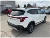 2024 Kia Seltos  (Stk: 260238) in Kingston - Image 3 of 33