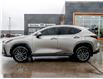 2024 Lexus NX 350h Base (Stk: 15-U1276) in London - Image 11 of 28