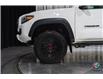 2023 Toyota Tacoma TRD Pro V6 (Stk: 8356A) in Edmonton - Image 25 of 25