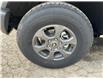 2026 Ford Bronco Big Bend (Stk: 0G6163) in Kamloops - Image 6 of 25