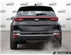 2020 Kia Sportage LX (Stk: 502723) in St. Catharines - Image 5 of 27