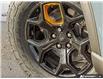 2026 Ford Explorer Tremor (Stk: XI056) in Sault Ste. Marie - Image 7 of 24