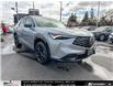 2025 Acura ADX Platinum Elite A-Spec (Stk: P19753) in North York - Image 13 of 29