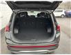 2023 Hyundai Santa Fe  (Stk: 251546) in Ottawa Central - Image 20 of 21