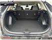2024 Toyota RAV4 LE (Stk: DR1070) in Brantford - Image 10 of 23