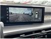 2026 Hyundai IONIQ 9 Preferred + w/Ultimate Calligraphy Package (Stk: 26U1287) in Aurora - Image 21 of 22