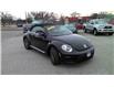 2018 Volkswagen Beetle 2.0 TSI Trendline (Stk: B1940) in Sarnia - Image 8 of 28