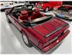 1989 Ford Mustang 5.0 LX Convertible (Stk: 241149) in Watford - Image 7 of 30