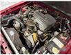 1989 Ford Mustang 5.0 LX Convertible (Stk: 241149) in Watford - Image 29 of 30