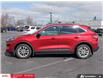 2022 Ford Escape SE (Stk: 62614) in Essex-Windsor - Image 3 of 31