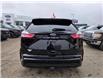 2024 Ford Edge ST Line (Stk: TA-317A) in Calgary - Image 4 of 9