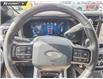 2026 Ford F-350 Platinum (Stk: MT204) in Kamloops - Image 13 of 24