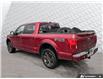 2019 Ford F-150  (Stk: T89361) in Richmond - Image 4 of 25