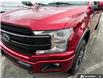 2019 Ford F-150  (Stk: T89361) in Richmond - Image 8 of 25
