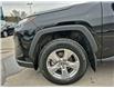 2025 Toyota RAV4 Hybrid XLE (Stk: 10120351A) in Markham - Image 10 of 34