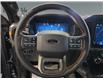 2026 Ford F-150 Tremor (Stk: T0009) in ROSETOWN - Image 14 of 17