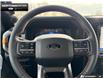 2026 Ford F-150 Tremor (Stk: 6F144587) in Brantford - Image 13 of 24