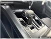 2026 Ford F-150 Tremor (Stk: 6F144587) in Brantford - Image 17 of 24