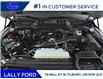 2026 Ford F-150 XLT (Stk: LFFF01750) in Tilbury - Image 9 of 12