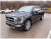 2022 Ford F-150 Platinum (Stk: 174296) in London - Image 1 of 12