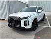 2025 Hyundai Palisade Urban 7 Passenger (Stk: 14817) in Sudbury - Image 1 of 10