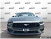 2026 Ford Mustang EcoBoost (Stk: OFL6G016) in Oakville - Image 2 of 23