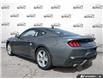 2026 Ford Mustang EcoBoost (Stk: OFL6G016) in Oakville - Image 4 of 23