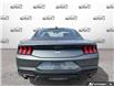 2026 Ford Mustang EcoBoost (Stk: OFL6G016) in Oakville - Image 5 of 23